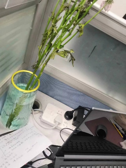 黄网