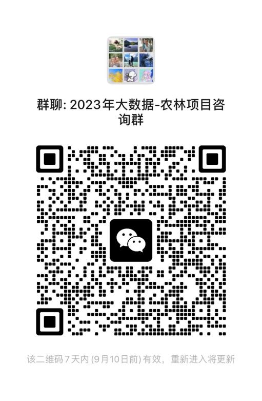 黄网