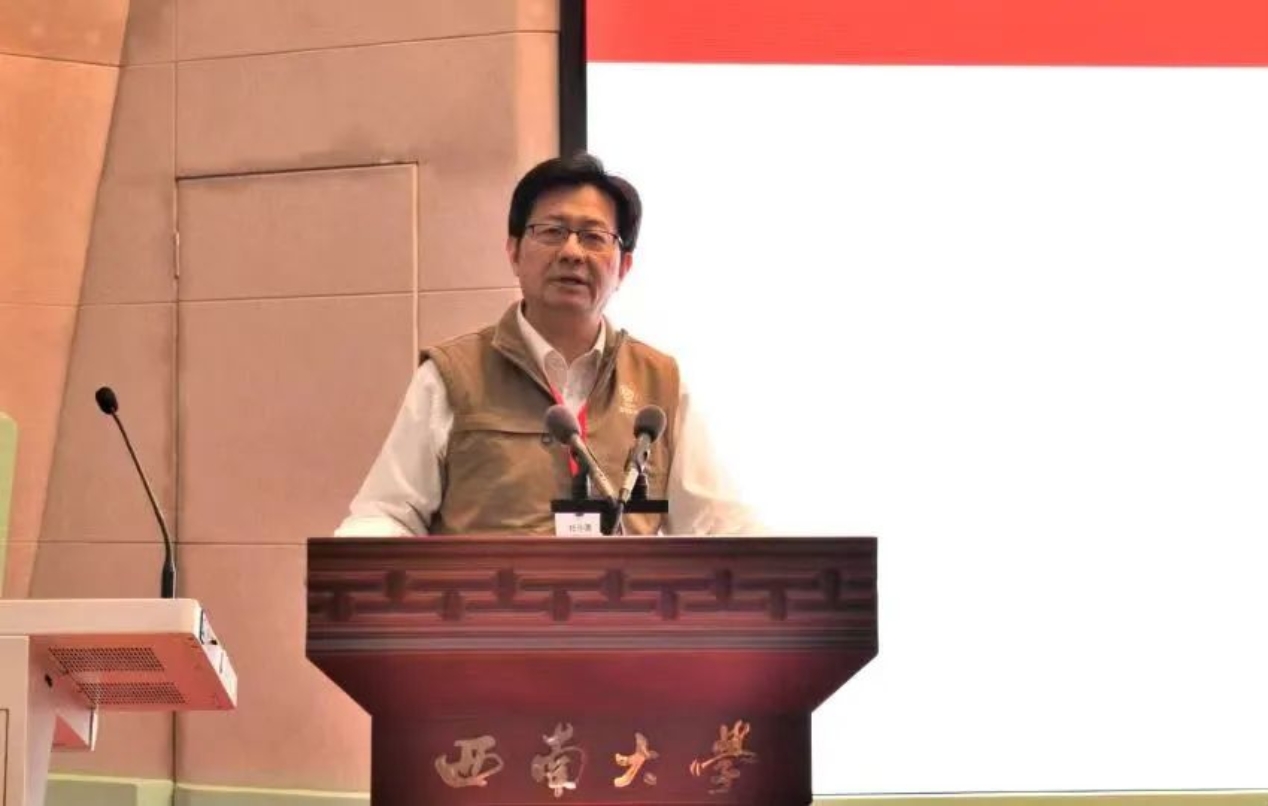 黄网