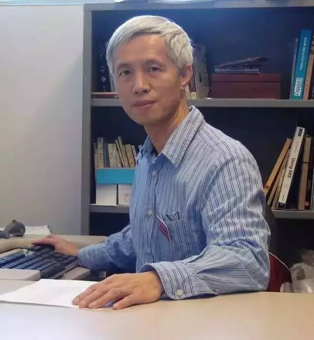 黄网