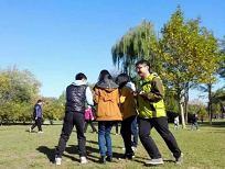 黄网