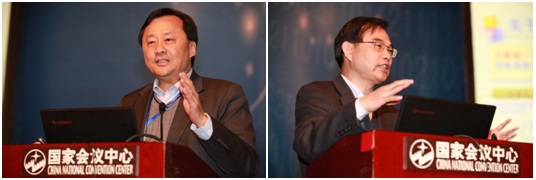黄网