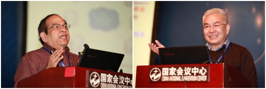 黄网